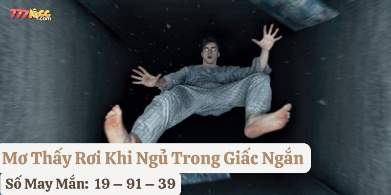 mơ rơi từ trên cao