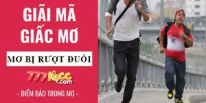 mơ thấy bị rượt đuổi 777loc thumb