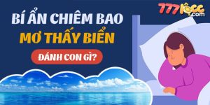 mơ thấy biển đánh số gì 777loc thumb