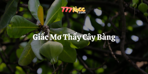 mơ thấy cây bàng 777loc thumb
