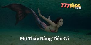 mơ thấy nàng tiên cá 777loc thumb