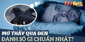 mơ thấy quạ 777loc thumb