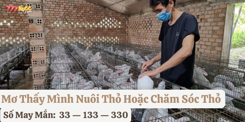 nằm mơ thấy con thỏ