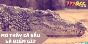nằm mơ thấy cá sấu 777loc thumb