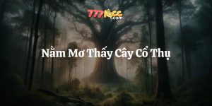nằm mơ thấy cây cổ thụ 777loc thumb