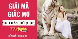 nằm mơ thấy hổ 777loc thumb