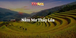 nằm mơ thấy lúa 777loc thumb