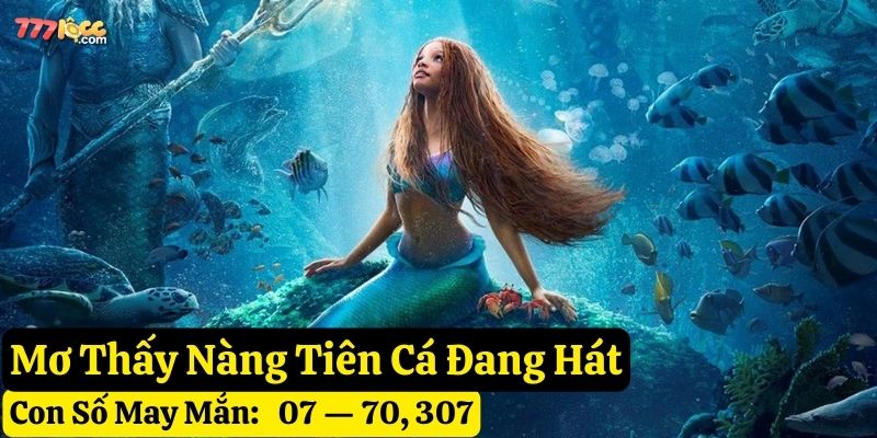 nằm mơ nàng tiên cá