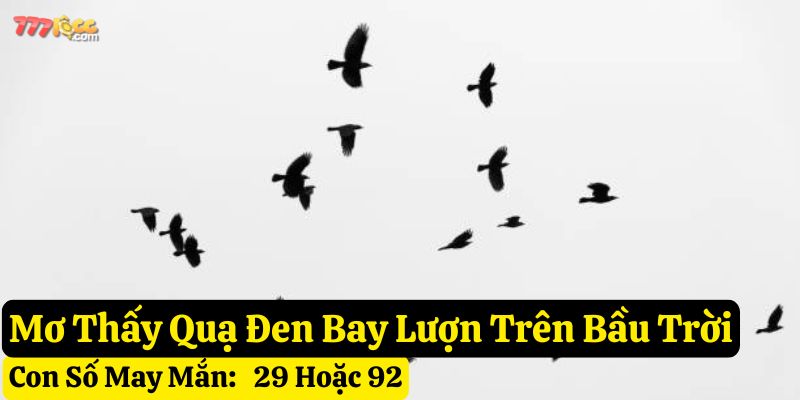 mơ thấy quạ 777loc