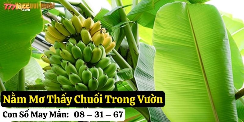nằm mơ thấy chuối 777loc