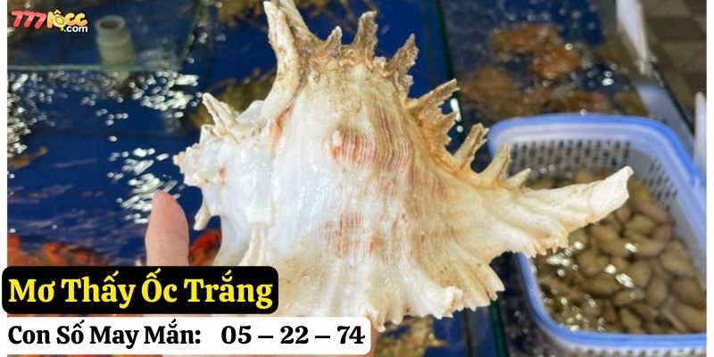 mơ thấy ốc 777loc