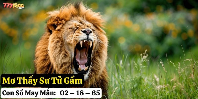 mơ thấy sư tử 777loc