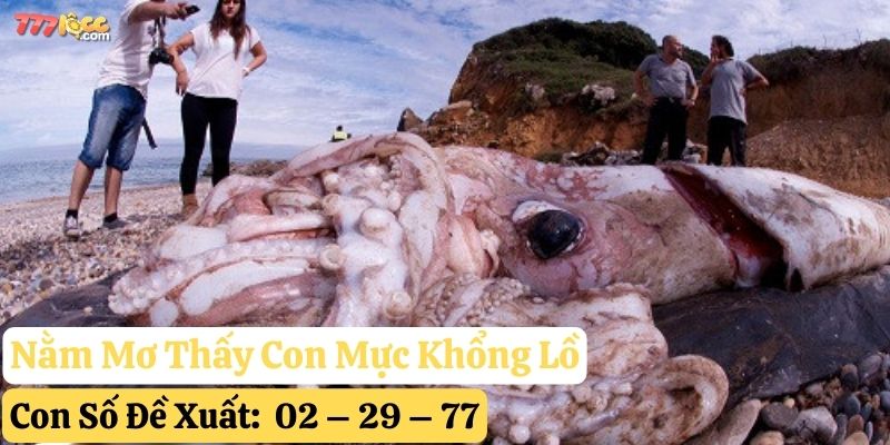 nằm mơ thấy con mực