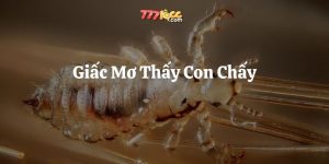 mơ thấy con chấy 777loc thumb