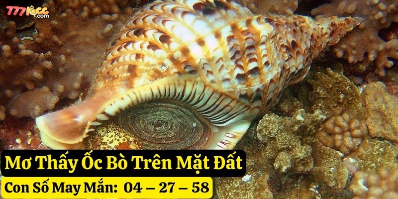 nằm mơ thấy ốc
