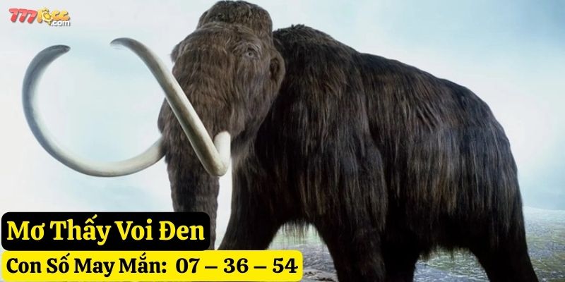 nằm mơ thấy voi
