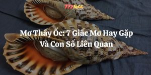 mơ thấy ốc 777loc thumb