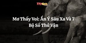 mơ thấy voi 777loc thumb