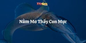 nằm mơ thấy con mực 777loc thumb
